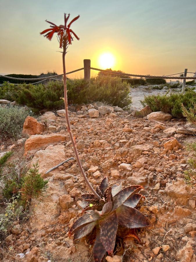 Вилла Arenas Del Mar Formentera Es Arenals Экстерьер фото